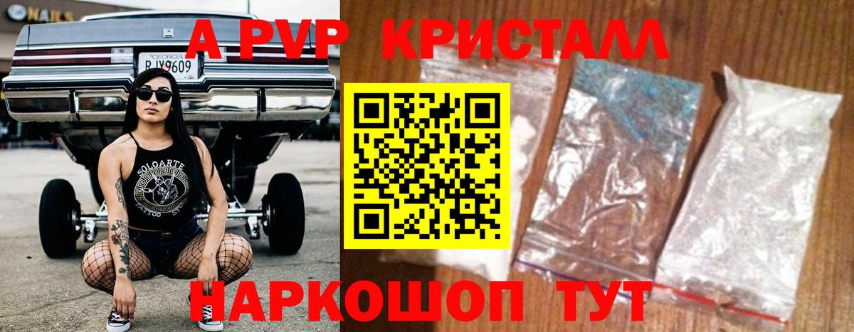 Alfa_PVP СК Нижнекамск